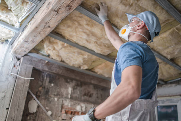 Insulation Repair Services in Mount Olive, AL